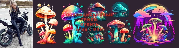 скорость Арсеньев