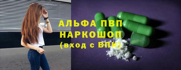 гашик Аркадак