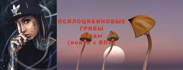 мяу мяу мука Армянск