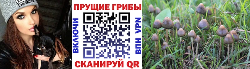blacksprut   Ивантеевка  Галлюциногенные грибы мухоморы  купить  